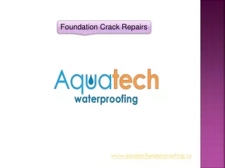 Foundation Crack Repairs