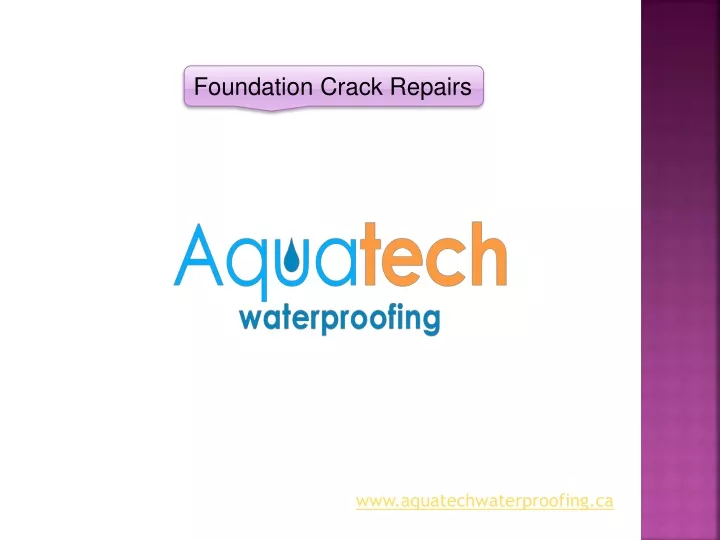 foundation crack repairs