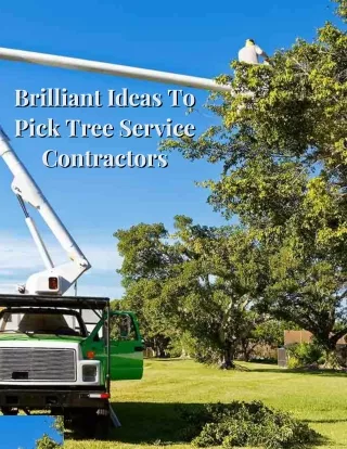 Brilliant Ideas To Pick Tree Service Contractors