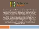 Supplements To Lower Blood Pressure-botanicaboost - slide 1