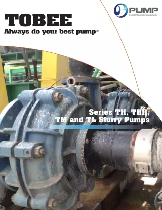 China Alternative Warman Slurry Pumps