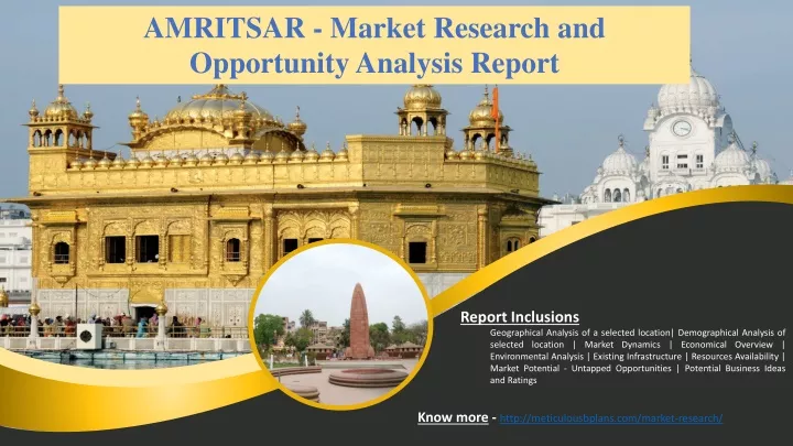 amritsar market research and opportunity analysis