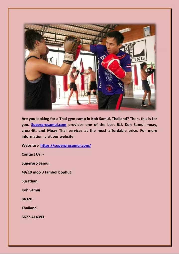 are you looking for a thai gym camp in koh samui