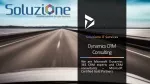 Best Dynamics 365 CRM Consultants and custom CRM development services - slide 1