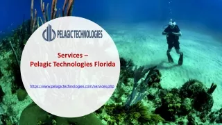 Services - Pelagic Technologies Florida