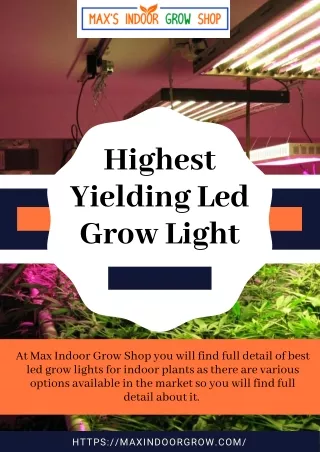 Advantages & Disadvantage of Led Grow Light For Indoor Plants