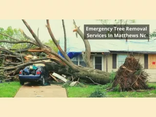 EMERGENCY TREE REMOVAL SERVICES IN MATTHEWS NC
