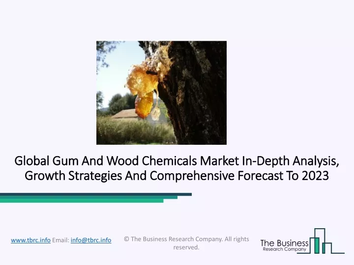 global gum and wood chemicals market global