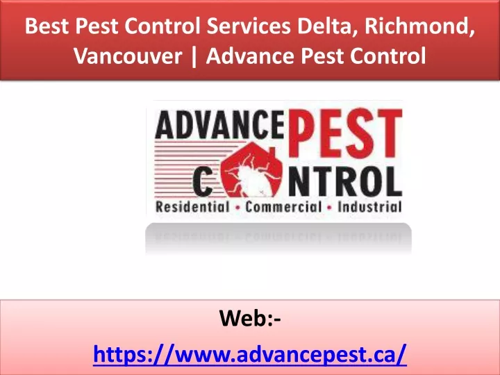 best pest control services delta richmond vancouver advance pest control