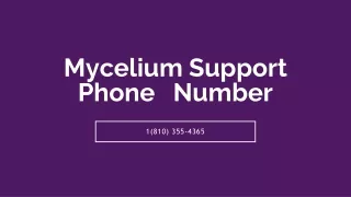 Mycelium Support 【!!1(810) 355-4365!!】Phone Number