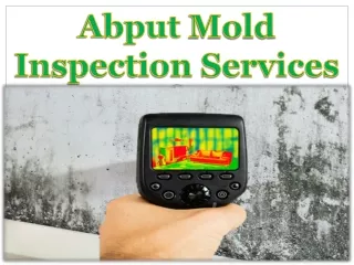 Abput Mold Inspection Services