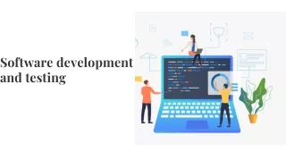 Software testing and development