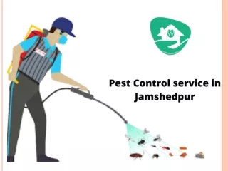 Pest Control service in Jamshedpur