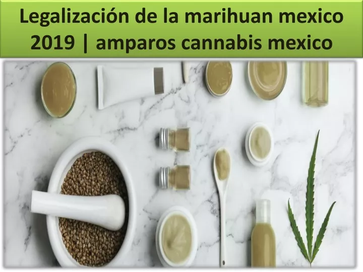 legalizaci n de la marihuan mexico 2019 amparos cannabis mexico