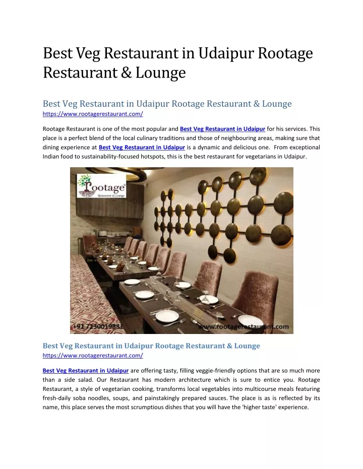 best veg restaurant in udaipur rootage restaurant