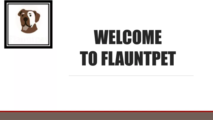 welcome to flauntpet