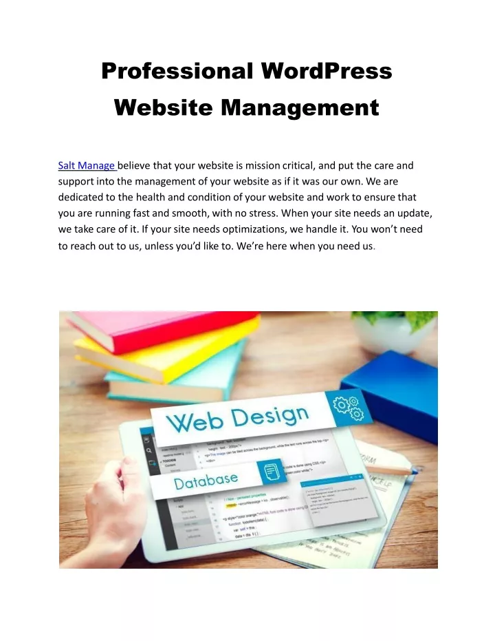 professional wordpress website management