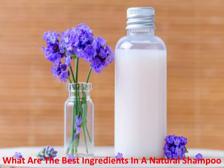 what are the best ingredients in a natural shampoo