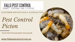 Get Personal and professional advice for Pest Control Picton