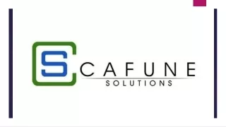 Best Social Media Optimization Services by Cafune Solutions