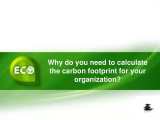 Why do you need to calculate the carbon footprint for your organization?