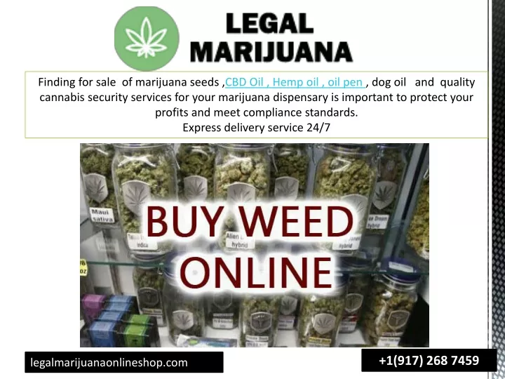 finding for sale of marijuana seeds cbd oil hemp