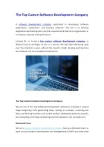 The Top Custom Software Development Company - slide 1