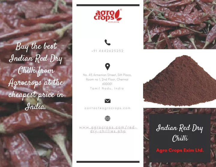 buy the best indian red dry chilli from agrocrops