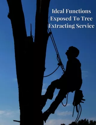 Ideal Functions Exposed To Tree Extracting Service