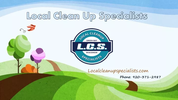local clean up specialists