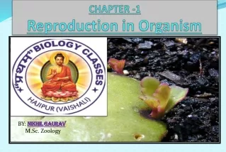 Class 12 ||Reproduction in Organism