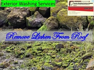 Remove Lichen from Roof