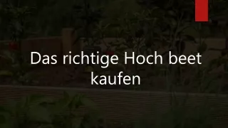 Hoch beet kaufen