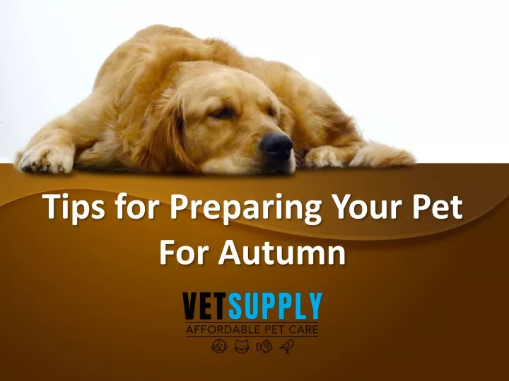 tips for preparing your pet for autumn