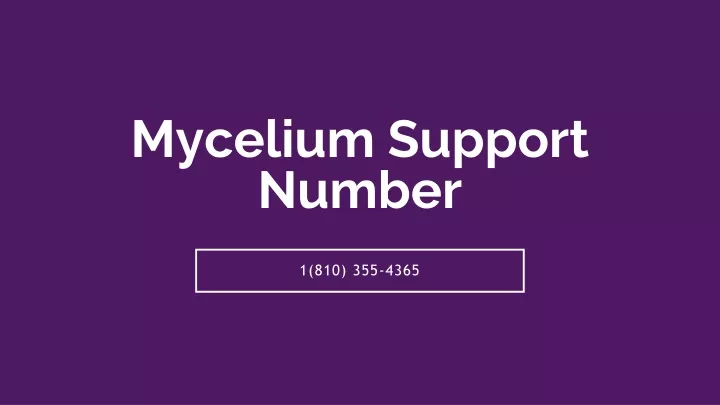mycelium support number