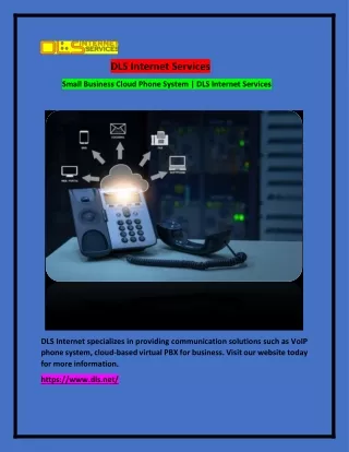 dls internet services