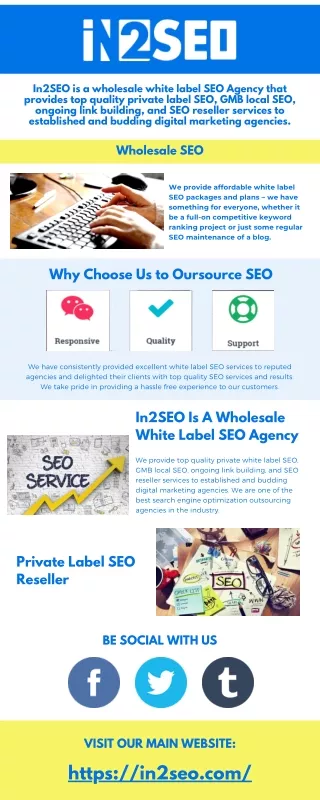 in2seo is a wholesale white label seo agency that