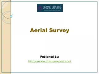 Aerial Survey