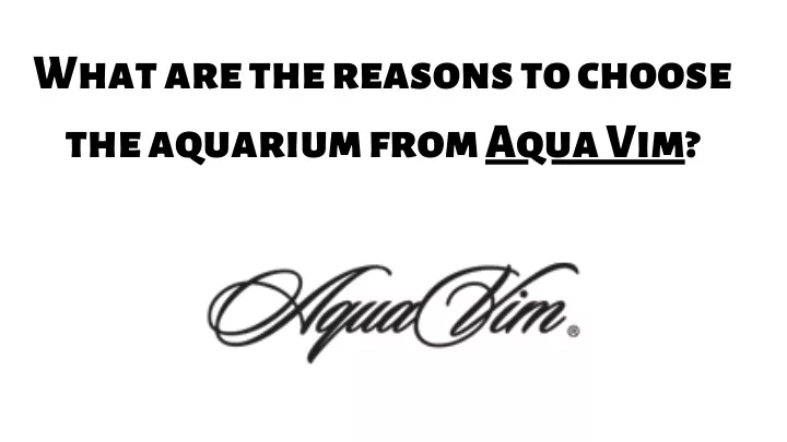 what are the reasons to choose the aquarium from