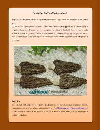 how to care for your mushroom logs
