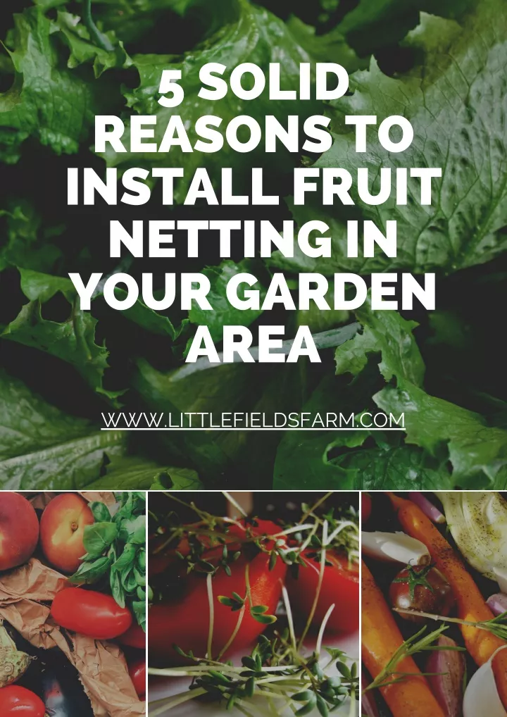 5 solid reasons to install fruit netting in your