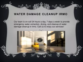 Water Damage Irmo