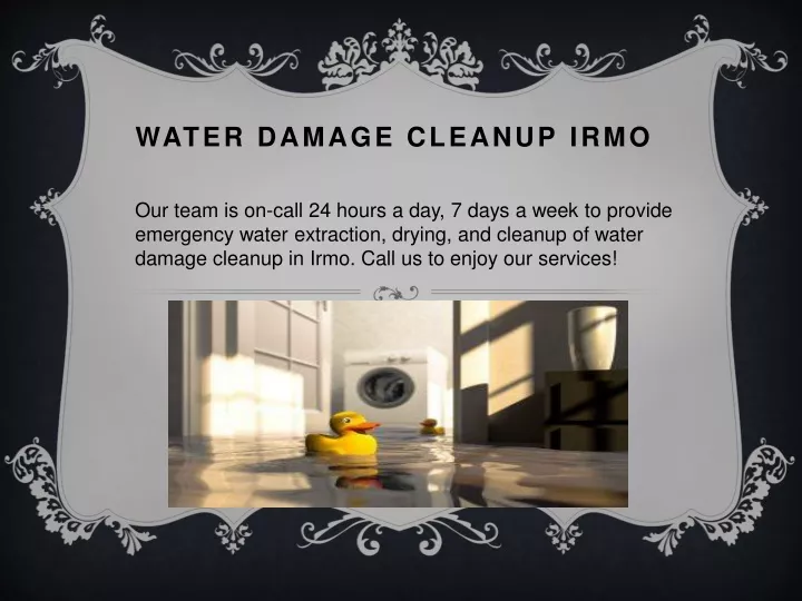water damage cleanup irmo