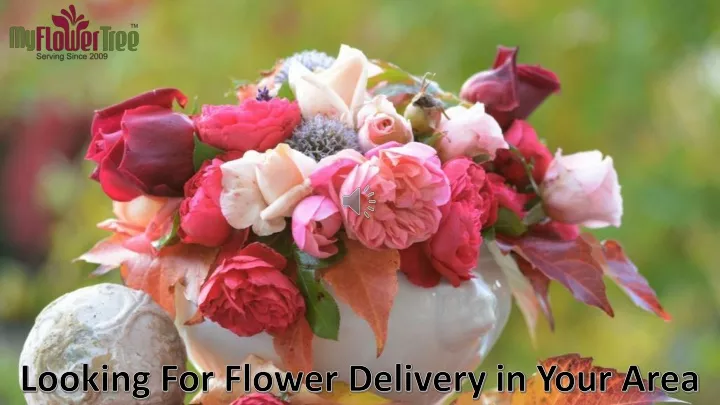 looking for flower delivery in your area