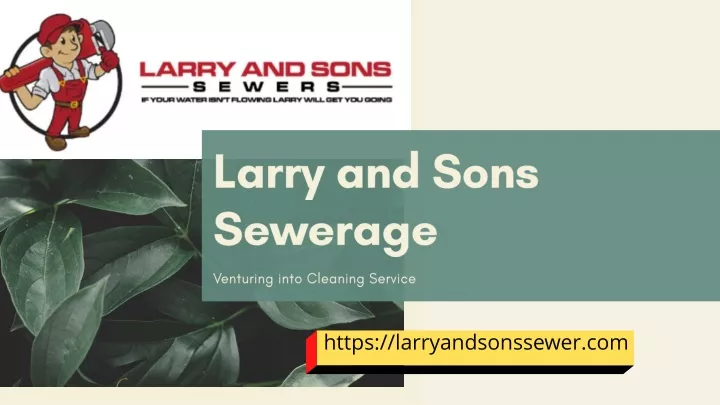 larry and sons sewerage