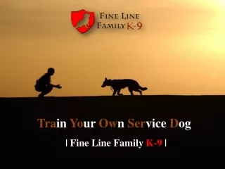Train Your Own Service Dog - Fine Line Family K-9