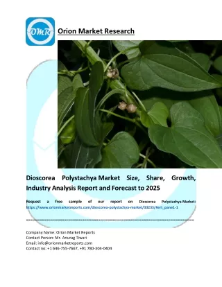 orion market research