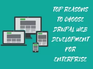 Reasons To Choose Drupal Web Development For Enterprise