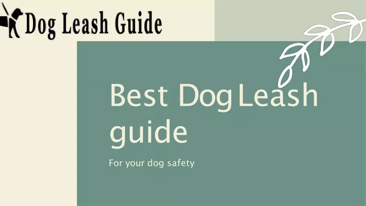 best dog leash guide
