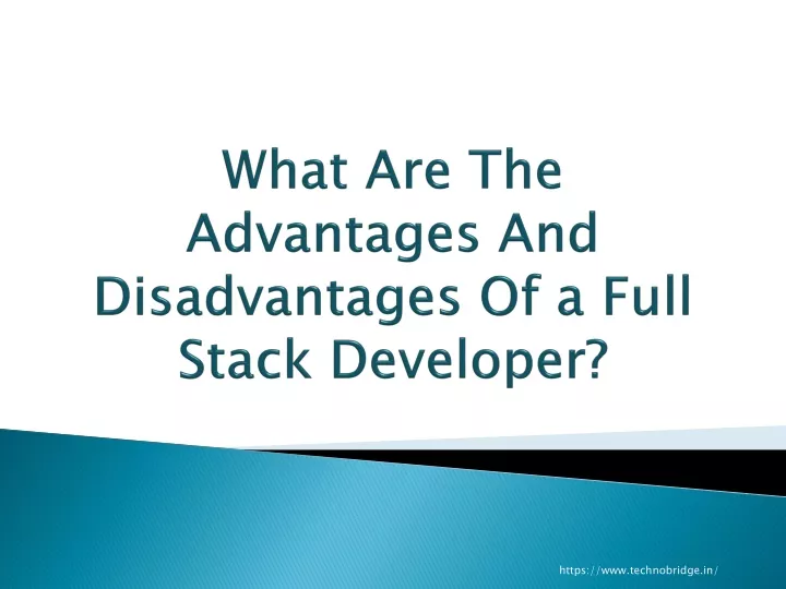 what are the advantages and disadvantages of a full stack developer